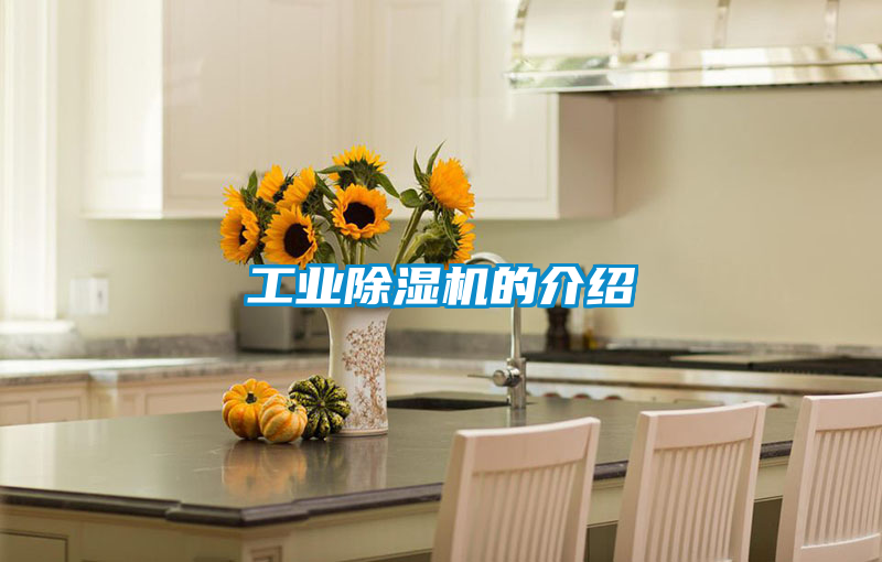 工业樱桃TV在线观看机的介绍