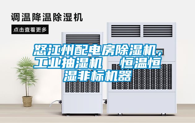 怒江州配电房樱桃TV在线观看机，工业抽湿机  恒温恒湿非标机器