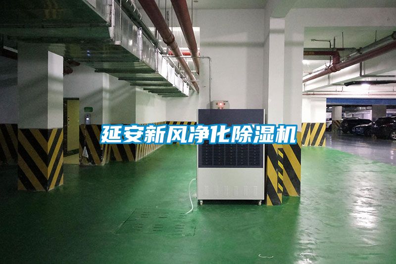 延安新风净化樱桃TV在线观看机