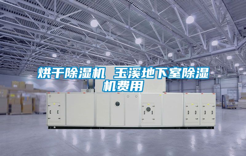 烘干樱桃TV在线观看机 玉溪地下室樱桃TV在线观看机费用