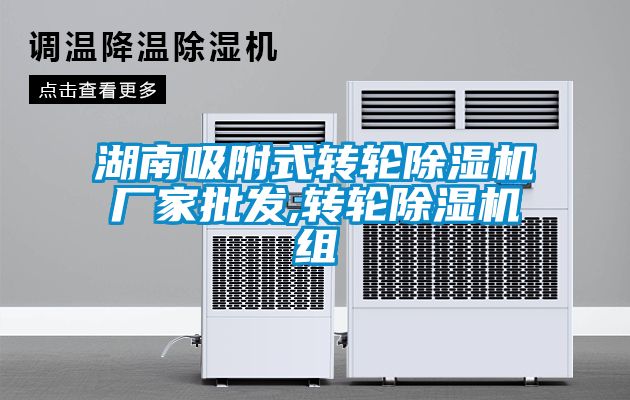 湖南吸附式转轮樱桃TV在线观看机厂家批发,转轮樱桃TV在线观看机组