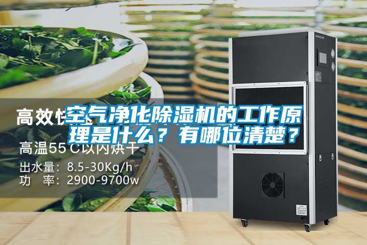 空气净化樱桃TV在线观看机的工作原理是什么？有哪位清楚？