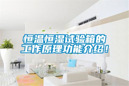 恒温恒湿试验箱的工作原理功能介绍！