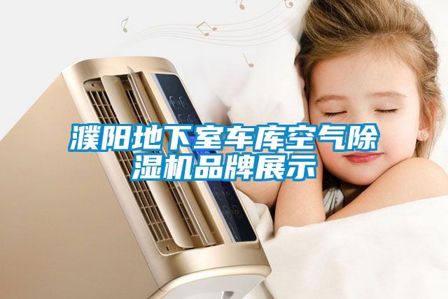 濮阳地下室车库空气樱桃TV在线观看机品牌展示