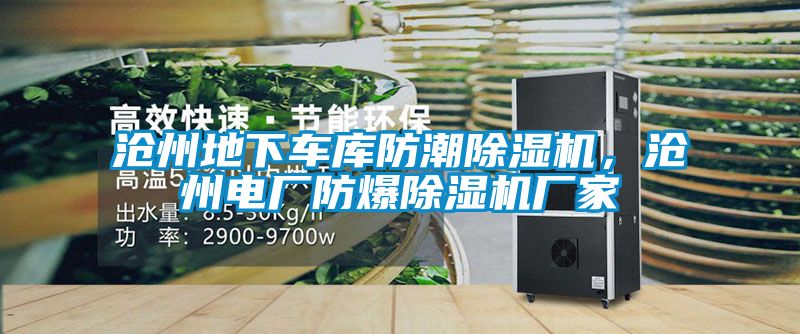 沧州地下车库防潮樱桃TV在线观看机，沧州电厂防爆樱桃TV在线观看机厂家