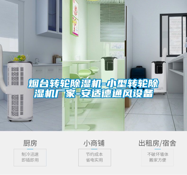 烟台转轮樱桃TV在线观看机-小型转轮樱桃TV在线观看机厂家-安适德通风设备