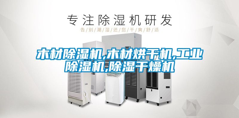 木材樱桃TV在线观看机,木材烘干机,工业樱桃TV在线观看机,樱桃TV在线观看干燥机