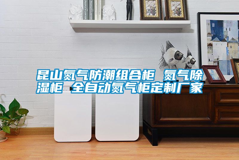 昆山氮气防潮组合柜 氮气樱桃TV在线观看柜 全自动氮气柜定制厂家