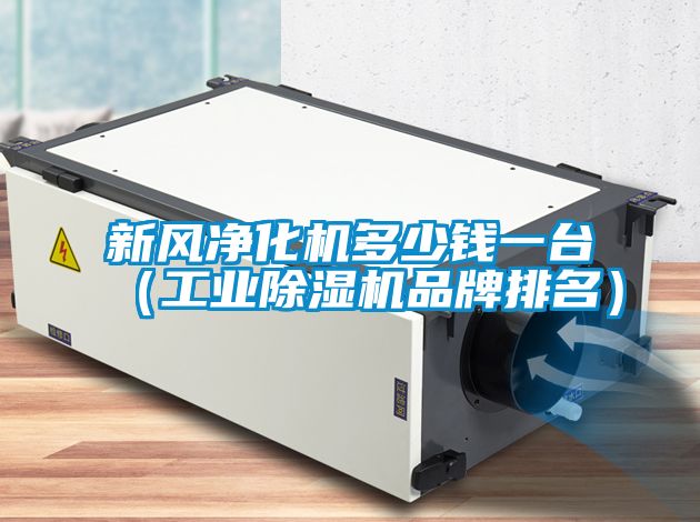 新风净化机多少钱一台（工业樱桃TV在线观看机品牌排名）
