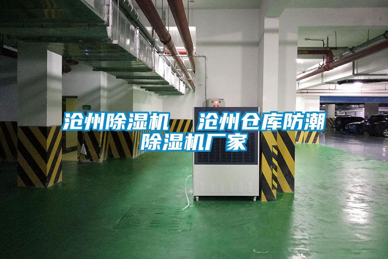 沧州樱桃TV在线观看机  沧州仓库防潮樱桃TV在线观看机厂家