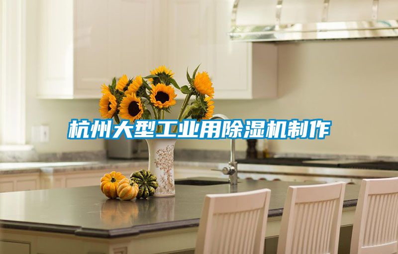 杭州大型工业用樱桃TV在线观看机制作