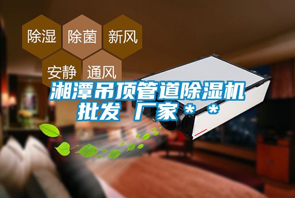 湘潭吊顶管道樱桃TV在线观看机批发 厂家＊＊