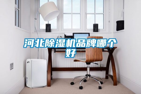 河北樱桃TV在线观看机品牌哪个好