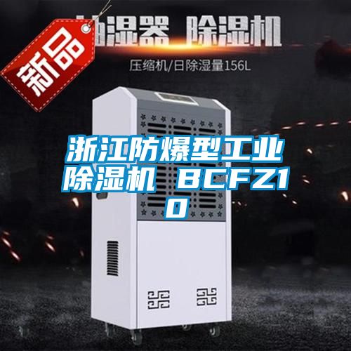 浙江防爆型工业樱桃TV在线观看机 BCFZ10