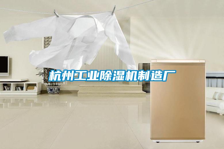 杭州工业樱桃TV在线观看机制造厂