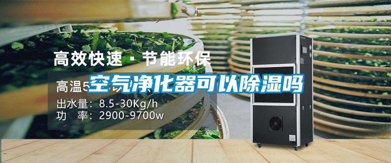 空气净化器可以樱桃TV在线观看吗