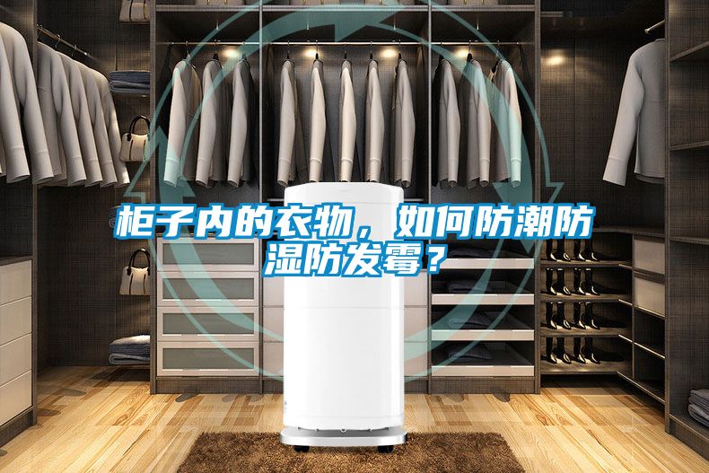 柜子内的衣物，如何防潮防湿防发霉？