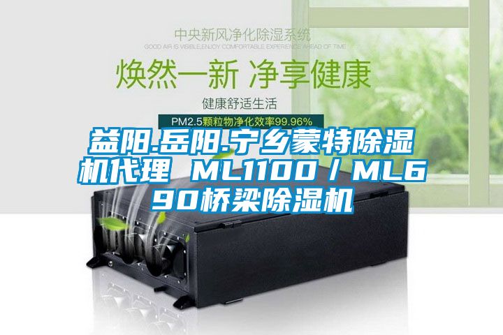 益阳.岳阳.宁乡蒙特樱桃TV在线观看机代理 ML1100／ML690桥梁樱桃TV在线观看机