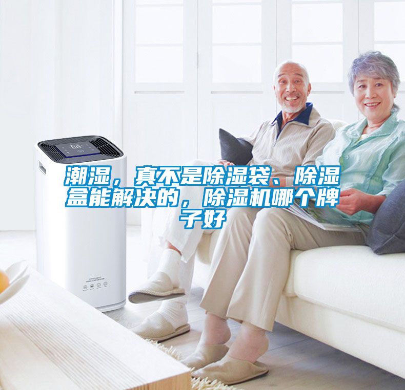 潮湿，真不是樱桃TV在线观看袋、樱桃TV在线观看盒能解决的，樱桃TV在线观看机哪个牌子好