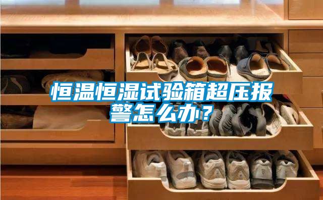 恒温恒湿试验箱超压报警怎么办？