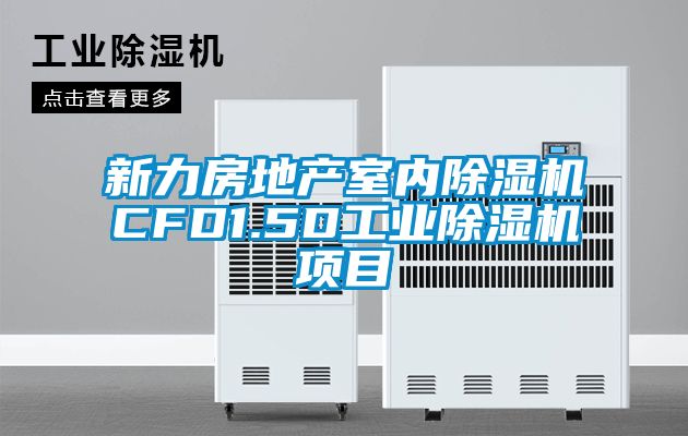 新力房地产室内樱桃TV在线观看机CFD1.5D工业樱桃TV在线观看机项目