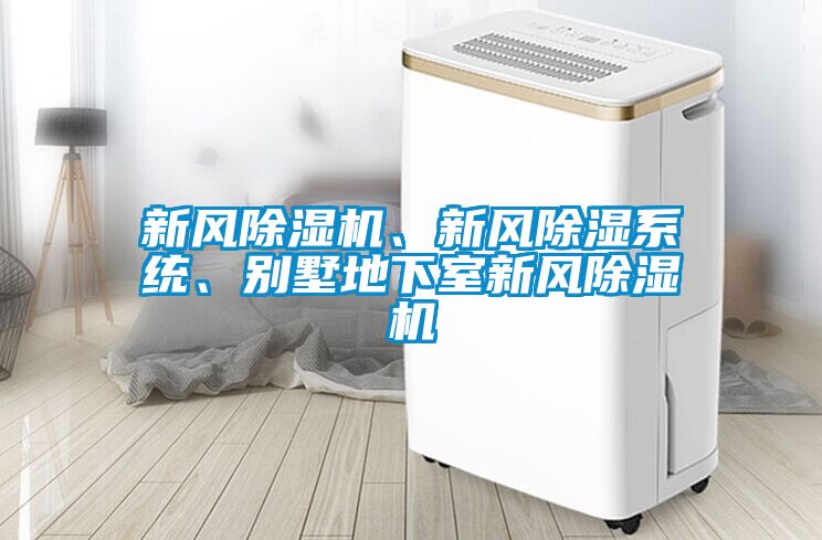 新风樱桃TV在线观看机、新风樱桃TV在线观看系统、别墅地下室新风樱桃TV在线观看机