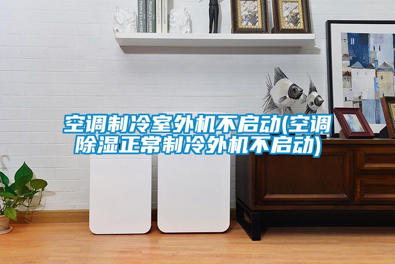 空调制冷室外机不启动(空调樱桃TV在线观看正常制冷外机不启动)