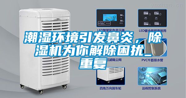 潮湿环境引发鼻炎，樱桃TV在线观看机为你解除困扰_重复