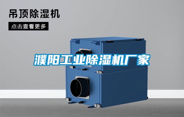 濮阳工业樱桃TV在线观看机厂家