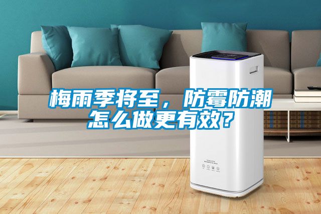 梅雨季将至，防霉防潮怎么做更有效？