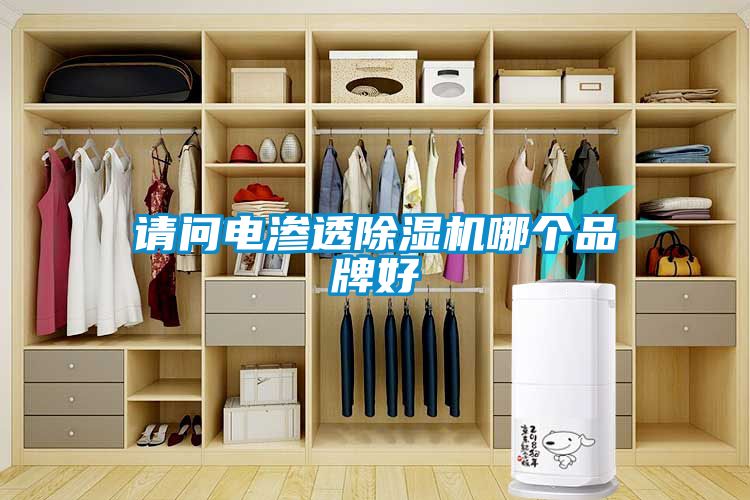 请问电渗透樱桃TV在线观看机哪个品牌好