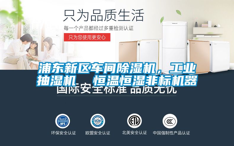 浦东新区车间樱桃TV在线观看机，工业抽湿机  恒温恒湿非标机器