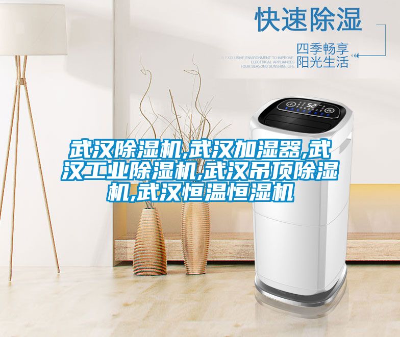 武汉樱桃TV在线观看机,武汉加湿器,武汉工业樱桃TV在线观看机,武汉吊顶樱桃TV在线观看机,武汉恒温恒湿机