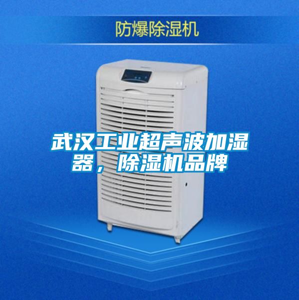 武汉工业超声波加湿器，樱桃TV在线观看机品牌