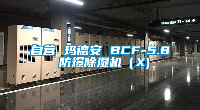自营 玛德安 BCF-5.8 防爆樱桃TV在线观看机（X)