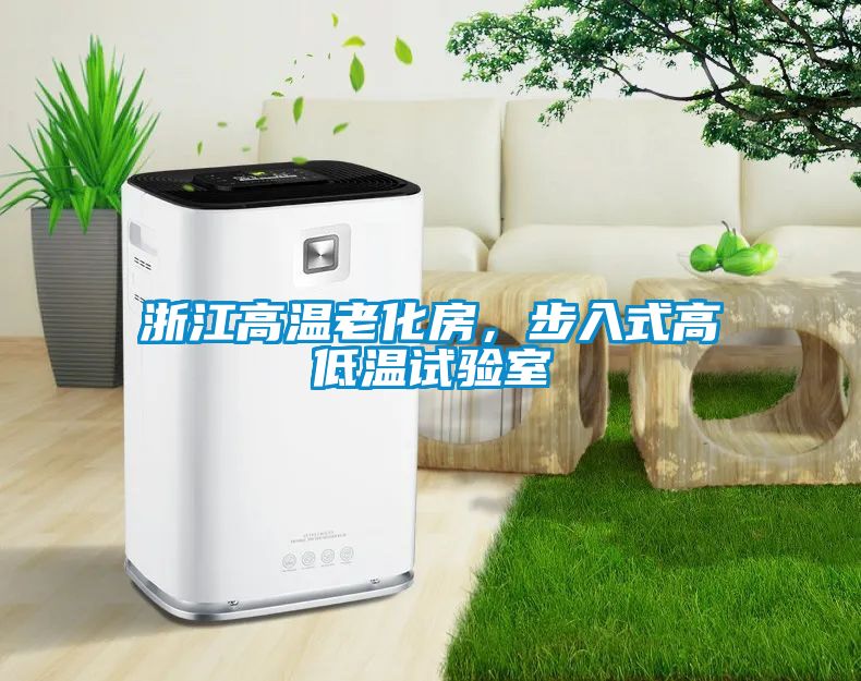 浙江高温老化房，步入式高低温试验室