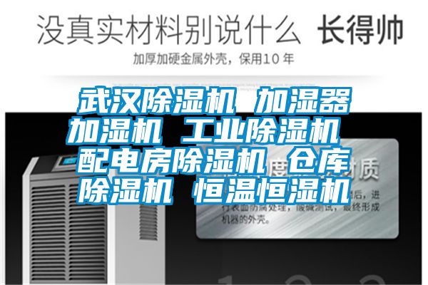 武汉樱桃TV在线观看机 加湿器加湿机 工业樱桃TV在线观看机 配电房樱桃TV在线观看机 仓库樱桃TV在线观看机 恒温恒湿机