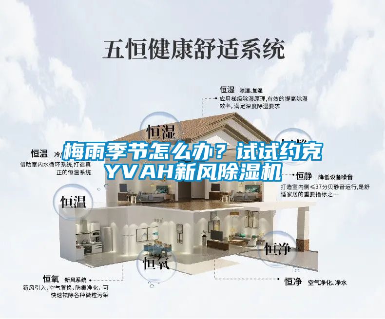 梅雨季节怎么办？试试约克YVAH新风樱桃TV在线观看机