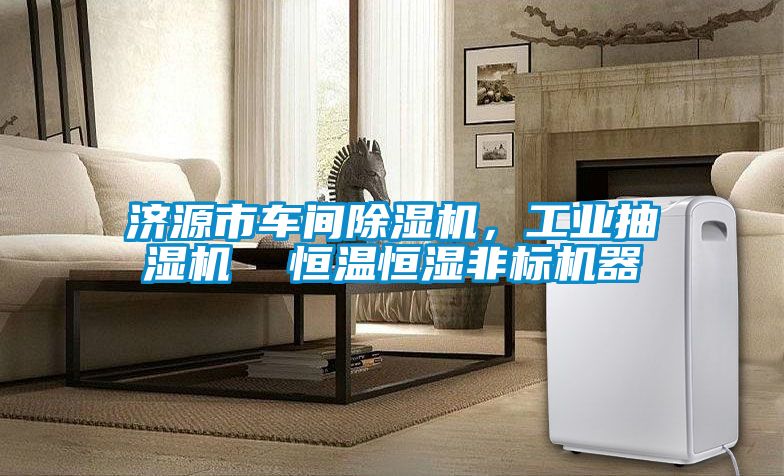 济源市车间樱桃TV在线观看机，工业抽湿机  恒温恒湿非标机器