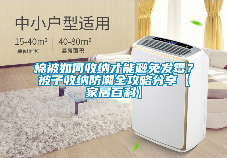 棉被如何收纳才能避免发霉？被子收纳防潮全攻略分享【家居百科】