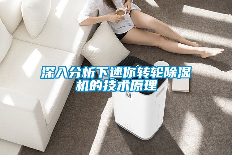 深入分析下迷你转轮樱桃TV在线观看机的技术原理