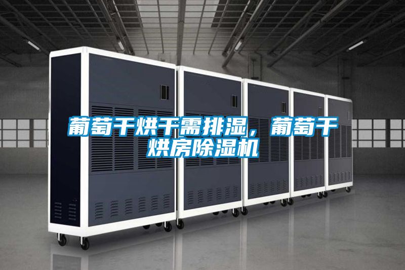 葡萄干烘干需排湿，葡萄干烘房樱桃TV在线观看机