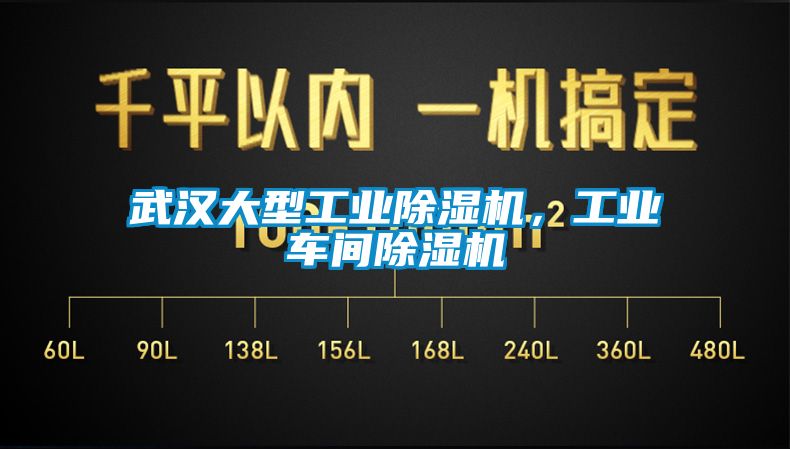 武汉大型工业樱桃TV在线观看机，工业车间樱桃TV在线观看机