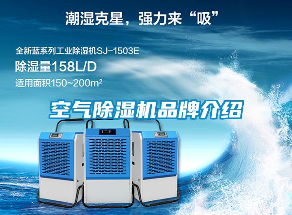 空气樱桃TV在线观看机品牌介绍