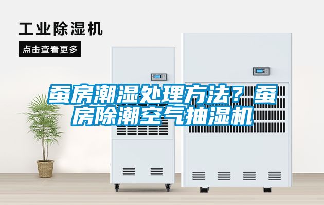 蚕房潮湿处理方法？蚕房除潮空气抽湿机
