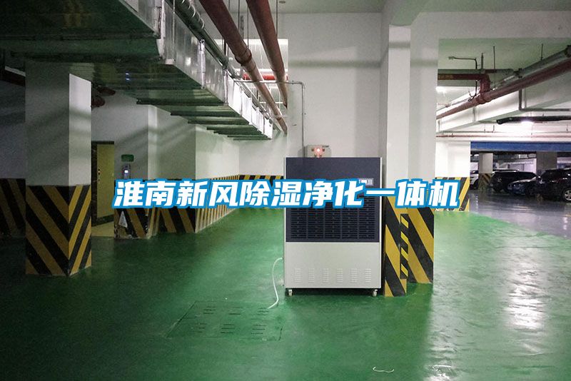 淮南新风樱桃TV在线观看净化一体机