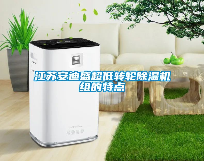 江苏安迪盛超低转轮樱桃TV在线观看机组的特点