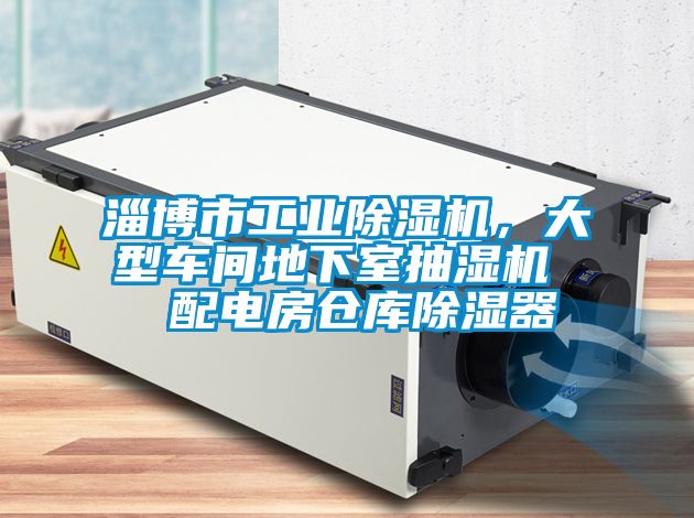 淄博市工业樱桃TV在线观看机，大型车间地下室抽湿机  配电房仓库樱桃TV在线观看器