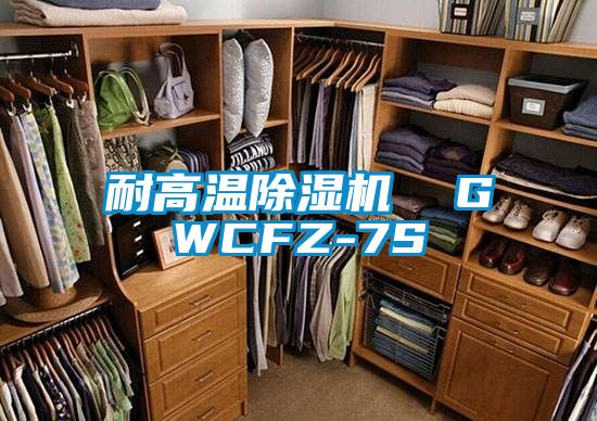耐高温樱桃TV在线观看机  GWCFZ-7S