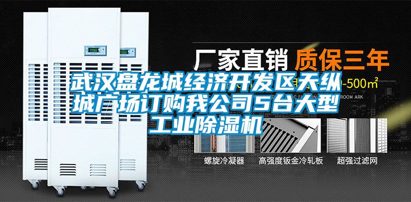 武汉盘龙城经济开发区天纵城广场订购我公司5台大型工业樱桃TV在线观看机